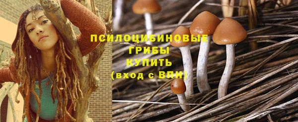 спайс Каменногорск