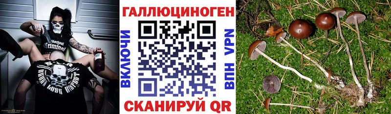 Галлюциногенные грибы прущие грибы Обь